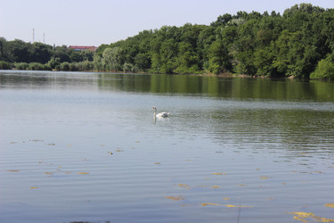 Similar image 22759449