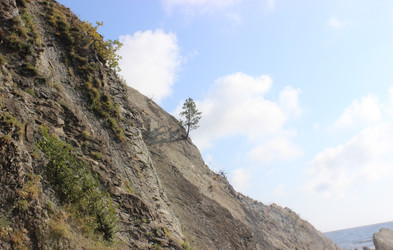 Similar image 22759450