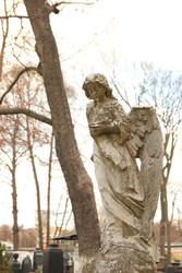 Similar image 22763779