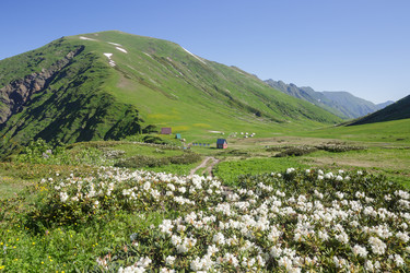 Similar image 22760134