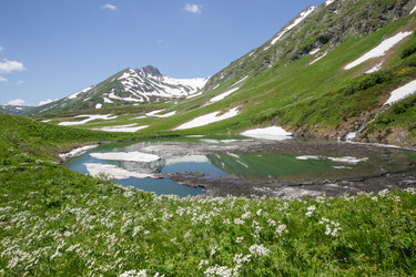 Similar image 22760135