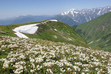 Similar image 22760157