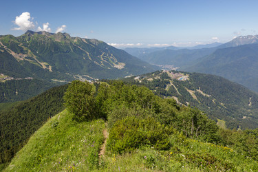 Similar image 22759534
