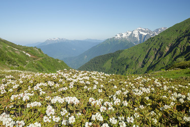 Similar image 22760140