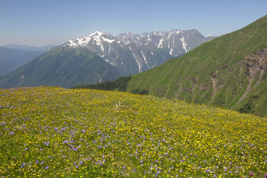 Similar image 22760144