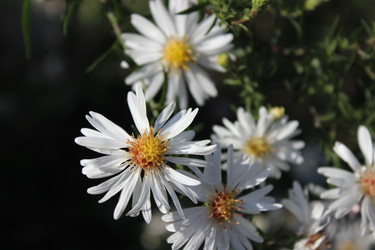 Similar image 22759452