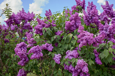 Similar image 22759508
