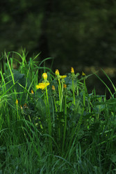 Similar image 22759453