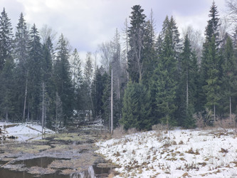 Similar image 22759515