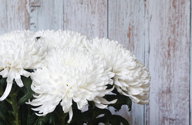 Similar image 22766066