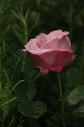 Similar image 22767522