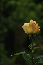 Similar image 22767523
