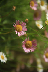 Similar image 22767524