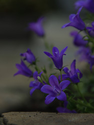 Similar image 22767525