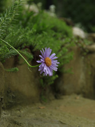 Similar image 22767526