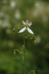 Similar image 22767527