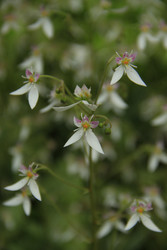 Similar image 22767528