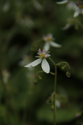 Similar image 22767529