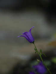 Similar image 22768468