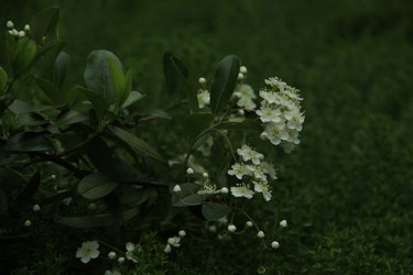 Similar image 22768469