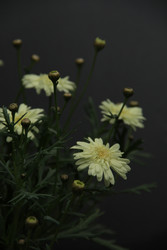 Similar image 22768470