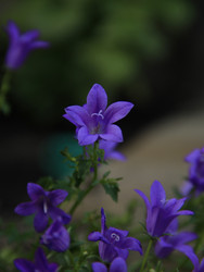 Similar image 22768471