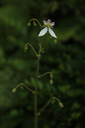 Similar image 22768472