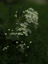 Similar image 22768473