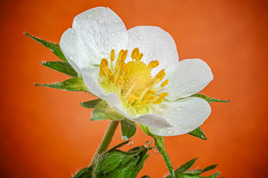 Similar image 22768555
