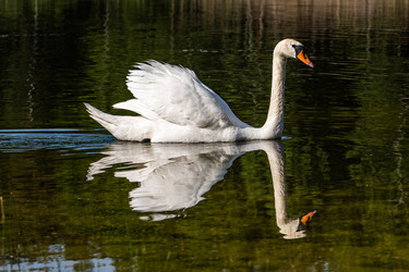 Similar image 22768534