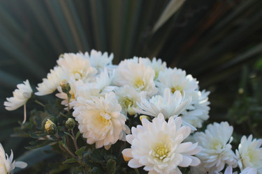 Similar image 22768575