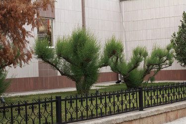 Similar image 22766093