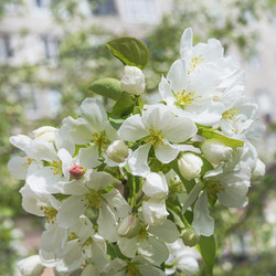 Similar image 22767553