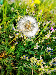 Similar image 22767568