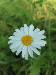 Similar image 22766068