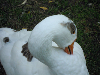 Similar image 22768497