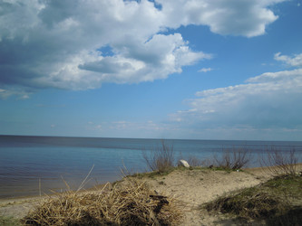 Similar image 22768499
