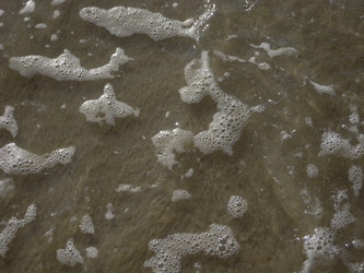 Similar image 22768500