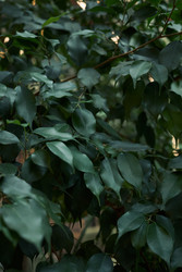 Similar image 22686099