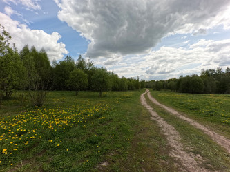 Дорога через поле, проходящая через прекрасный зеленый летний луг с цветами мать-и-мачехи и деревьями. Свежесть, прохлада, тень под голубым небом - NeuroSky