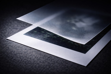 Фотография частично покрыта защитным текстурированным листом - NeuroSky