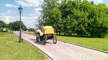 Карета в парке. Москва. Конный экипаж в Коломенском - Sveetlana