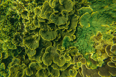 Similar image 22780482