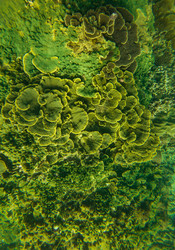 Similar image 22780485