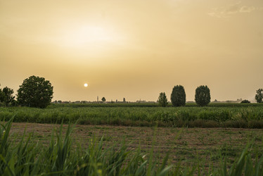 Similar image 22784880