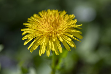 Similar image 22785015