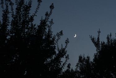 Similar image 22785135