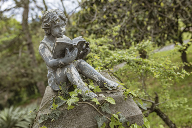 Каменная статуя ребенка, читающего книгу, в пышном саду - Pippocarlot