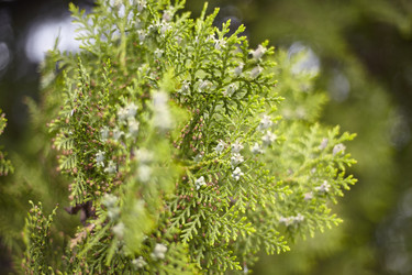 Similar image 22785167