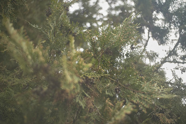 Similar image 22788801